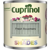 Cuprinol Garden Shades Tester - Fresh Rosemary - 125ml
Cuprinol Garden Shades Tester - Fresh Rosemary - 125ml