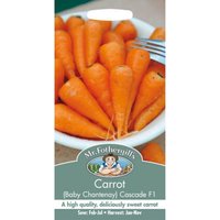 Mr. Fothergill's Carrot Baby Chant Cascade F1
Mr. Fothergill's Carrot Baby Chant Cascade F1