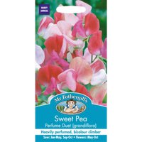Mr. Fothergill's Sweet Pea Perfume Duet (Lathyrus Odoratus) Seeds
Mr. Fothergill's Sweet Pea Perfume Duet (Lathyrus Odoratus) Seeds