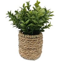 Milan Leaves in Rattan Basket
Milan Leaves in Rattan Basket