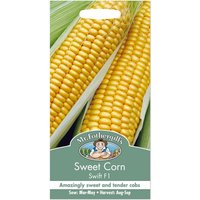 Mr. Fothergill's Sweet Corn Swift F1 Seeds
Mr. Fothergill's Sweet Corn Swift F1 Seeds