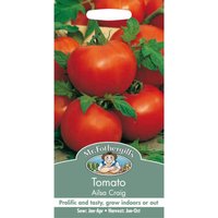 Mr. Fothergill's Tomato Ailsa Craig (Lycopersicon Lycopersicum) Seeds
Mr. Fothergill's Tomato Ailsa Craig (Lycopersicon Lycopersicum) Seeds