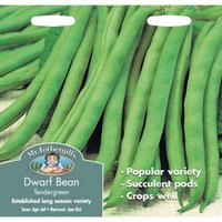Mr. Fothergill's Dwarf Bean Tendergreen (Phaseolus Vulgaris) Seeds
Mr. Fothergill's Dwarf Bean Tendergreen (Phaseolus Vulgaris) Seeds
