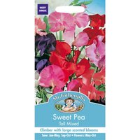 Mr. Fothergill's Sweet Pea Tall Mixed (Lathyrus Odoratus) Seeds
Mr. Fothergill's Sweet Pea Tall Mixed (Lathyrus Odoratus) Seeds