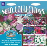 Mr. Fothergill's Sweet Pea Collection (Lathyrus Odoratus) Bulbs
Mr. Fothergill's Sweet Pea Collection (Lathyrus Odoratus) Bulbs