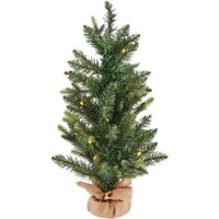 2ft Pre-lit Tabletop Christmas Tree (Battery Operated)
2ft Pre-lit Tabletop Christmas Tree (Battery Operated)
