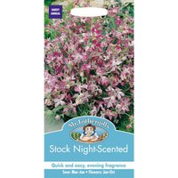 Mr. Fothergill's Night Scented Stock (Matthiola Longipetala) Seeds
Mr. Fothergill's Night Scented Stock (Matthiola Longipetala) Seeds