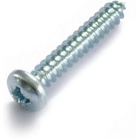 Self Tapping Screw - Bright Zinc Plated - 4 x 20mm - 10 Pack
Self Tapping Screw - Bright Zinc Plated - 4 x 20mm - 10 Pack