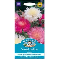 Mr. Fothergill's Sweet Sultan Mixed Seeds 
Mr. Fothergill's Sweet Sultan Mixed Seeds