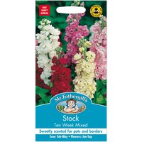 Mr. Fothergill's Stock Ten Week Mixed Seeds
Mr. Fothergill's Stock Ten Week Mixed Seeds