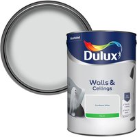 Dulux Natural Hints - Cornflower White Silk - 5L
Dulux Natural Hints - Cornflower White Silk - 5L