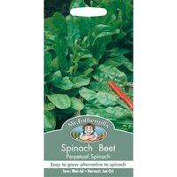Mr. Fothergill's Spinach Beet Perpetual Spinach (Beta Vulgaris) Seeds
Mr. Fothergill's Spinach Beet Perpetual Spinach (Beta Vulgaris) Seeds