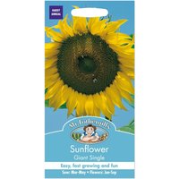 Mr. Fothergill's Sunflower Giant Single Seeds
Mr. Fothergill's Sunflower Giant Single Seeds