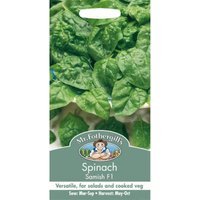 Mr. Fothergill's Spinach Samish F1 (Spinacia Oleracea) Seeds
Mr. Fothergill's Spinach Samish F1 (Spinacia Oleracea) Seeds