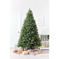 7ft Green Cashmere Artificial Christmas Tree
7ft Green Cashmere Artificial Christmas Tree