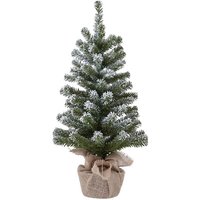 2ft Snowy Tabletop Christmas Tree
2ft Snowy Tabletop Christmas Tree