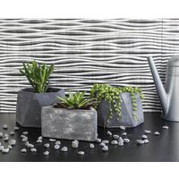 Innovera Decor 3D Design Wall Tile - Kitchen Splashback Cladding Panels (Wilderness - Silver, set of 6)
Innovera Decor 3D Design Wall Tile - Kitchen Splashback Cladding Panels (Wilderness - Silver, set of 6)