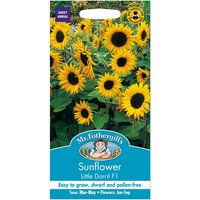 Mr. Fothergill's Sunflower Little Dorrit F1 Seeds
Mr. Fothergill's Sunflower Little Dorrit F1 Seeds