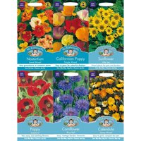 Mr. Fothergill's Easy Grow Flower Seeds Bundle
Mr. Fothergill's Easy Grow Flower Seeds Bundle