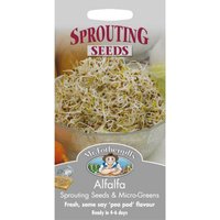 Mr. Fothergill's Alfalfa (Medicago Sativa) Seeds
Mr. Fothergill's Alfalfa (Medicago Sativa) Seeds