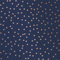 Superfresco Easy Confetti Navy Copper Wallpaper
Superfresco Easy Confetti Navy Copper Wallpaper