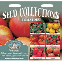 Mr. Fothergill's Tomatoes Collection (Lycopersicon Lycopersicum) Seeds
Mr. Fothergill's Tomatoes Collection (Lycopersicon Lycopersicum) Seeds