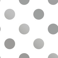 Superfresco Easy Silver Dotty Wallpaper
Superfresco Easy Silver Dotty Wallpaper
