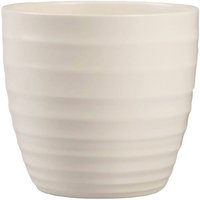 Cream Plant Pot - 16cm
Cream Plant Pot - 16cm
