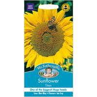 Mr. Fothergill's Sunflower Titan Seeds
Mr. Fothergill's Sunflower Titan Seeds