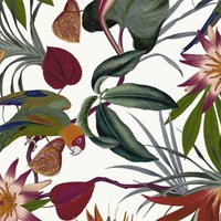 Superfresco Easy Parrot White Wallpaper
Superfresco Easy Parrot White Wallpaper