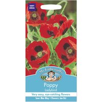 Mr. Fothergill's Poppy Ladybird Seeds
Mr. Fothergill's Poppy Ladybird Seeds