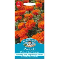 Mr. Fothergill's African Marigold Kees Orange Seeds
Mr. Fothergill's African Marigold Kees Orange Seeds