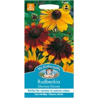 Mr. Fothergill's Rudbeckia Gloriosa Daisies Seeds
Mr. Fothergill's Rudbeckia Gloriosa Daisies Seeds
