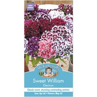 Mr. Fothergill's Sweet William Electron Seeds
Mr. Fothergill's Sweet William Electron Seeds