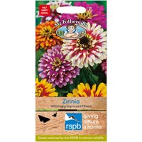 Mr. Fothergill's Zinnia Whirlygig Mixed Seeds
Mr. Fothergill's Zinnia Whirlygig Mixed Seeds