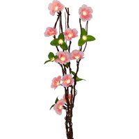 50cm Blossom Battery Twig Lights
50cm Blossom Battery Twig Lights