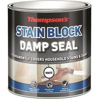 Thompsons Damp Seal - 250ml
Thompsons Damp Seal - 250ml
