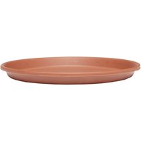 Terracotta Plant Pot Saucer - 19cm
Terracotta Plant Pot Saucer - 19cm