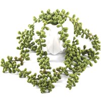 Trailing Plant in Geo Shaped Pot - White
Trailing Plant in Geo Shaped Pot - White