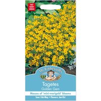 Mr. Fothergill's Tagetes Golden Gem Seeds
Mr. Fothergill's Tagetes Golden Gem Seeds