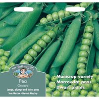 Mr. Fothergill's Pea Onward (Pisum Sativum) Seeds
Mr. Fothergill's Pea Onward (Pisum Sativum) Seeds