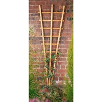 Forest Garden Fan Trellis
Forest Garden Fan Trellis