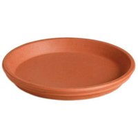 Terracotta Plant Pot Saucer - 19cm
Terracotta Plant Pot Saucer - 19cm