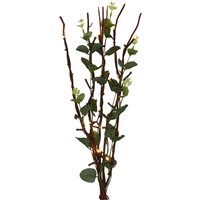 50cm Eucalyptus Battery Twig Lights
50cm Eucalyptus Battery Twig Lights