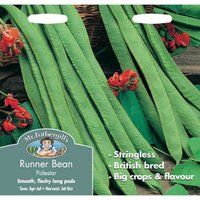 Mr. Fothergill's Runner Bean Stringless Polestar (Phaseolus Coccineus) Seeds
Mr. Fothergill's Runner Bean Stringless Polestar (Phaseolus Coccineus) Seeds