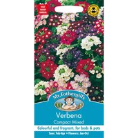 Mr. Fothergill's Verbena Compact Mixed (Verbena X Hybrida) Seeds
Mr. Fothergill's Verbena Compact Mixed (Verbena X Hybrida) Seeds