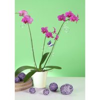 Orchid Pot - White - 14cm
Orchid Pot - White - 14cm