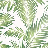Tropical Palm Geen Artistick Wallpaper
Tropical Palm Geen Artistick Wallpaper