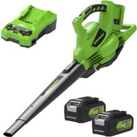 48V Blow & Vac Leaf Vacuum with battery and charger
48V Blow & Vac Leaf Vacuum with battery and charger