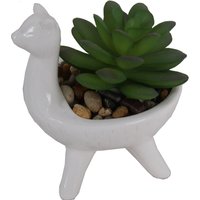 Artificial Alpaca Flower Succulent
Artificial Alpaca Flower Succulent